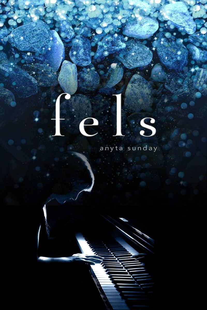Buchcover von fels von Anyta Sunday